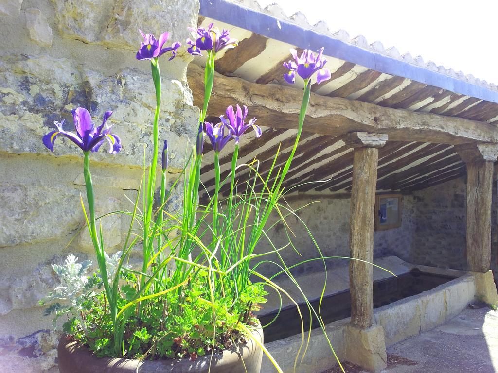 Casa Rural Basaula Muneta Zewnętrze zdjęcie